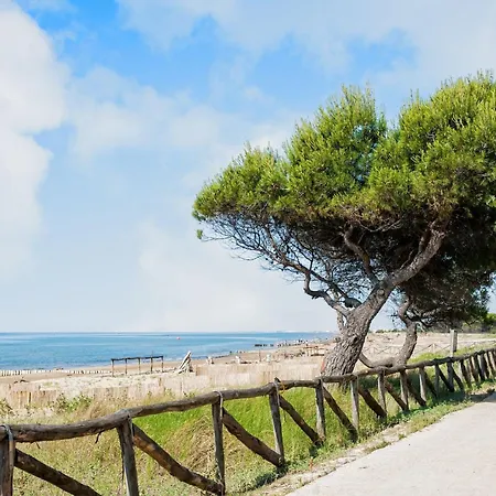 Comfy With Pool-beahost דירה ביביונה